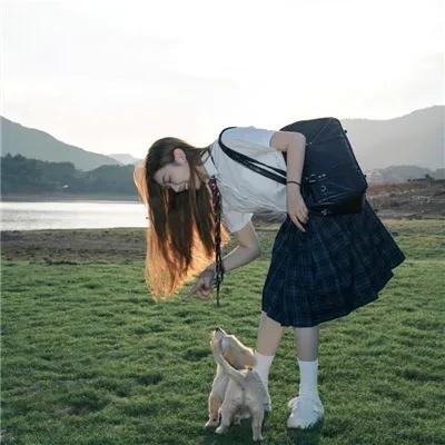 蓝色老虎